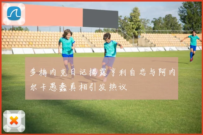 多梅内克日记揭露亨利自恋与阿内尔卡愚蠢真相引发热议