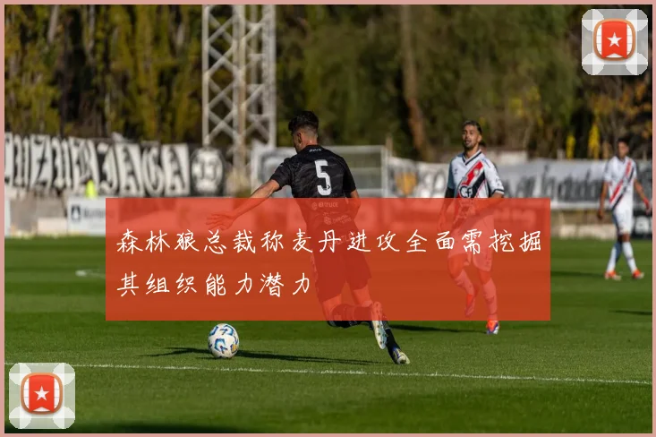 森林狼总裁称麦丹进攻全面需挖掘其组织能力潜力